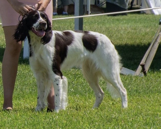 concours conformation